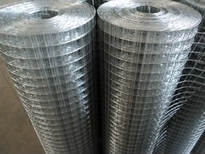 現貨銷售工藝墻面鐵絲網、保溫兔籠與養殖水貂籠網 深州市騰源絲網廠的專業金屬網解決方案